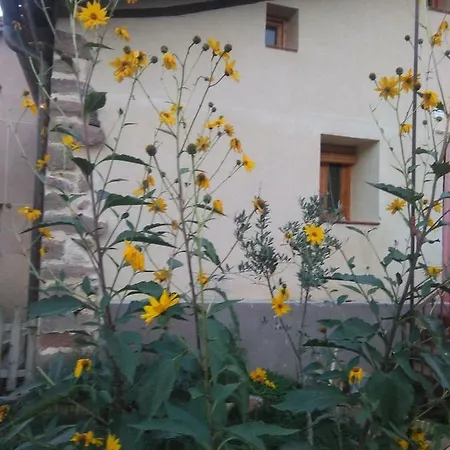 Valvanera 30 Berceo Buitenkant foto