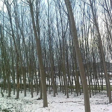 Valvanera 30 Berceo Buitenkant foto